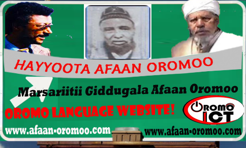 Kitaaba Seenaa Oromoo Pdf